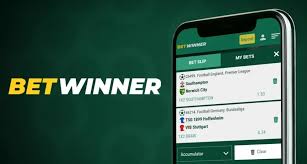 How to Log In to Your BetWinner Account A Step-by-Step Guide